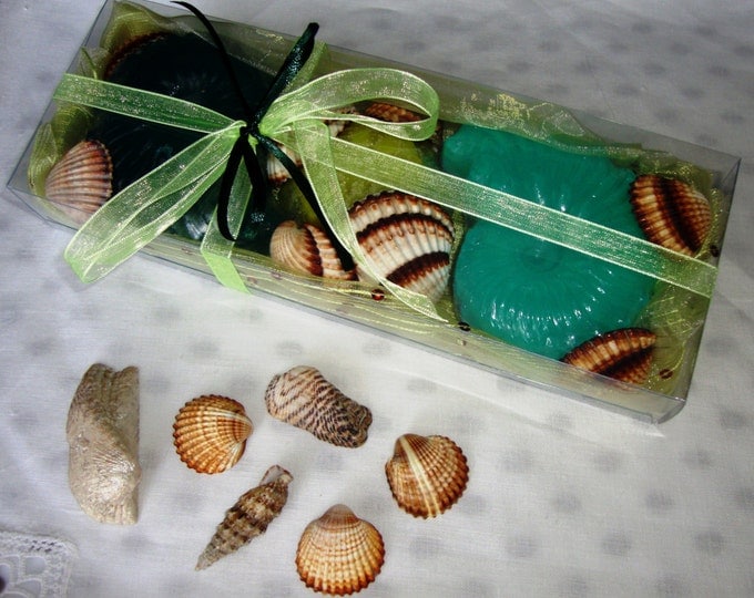 Natural Sea Shells & Decorative Shell Soaps in a Gift Set, Scented Soaps, Glycerin Soap, Aegean Sea Natural Shells, Nautical style Soaps