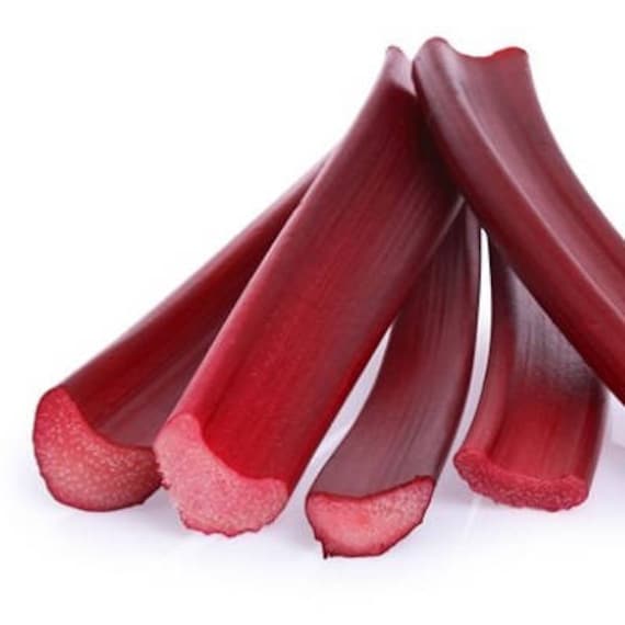 Organic Holstein Rhubarb 15 Count- Beautiful Blood Red Stalks, Great for Gardens, Grows in all USDA Zones, Great old fashion plant