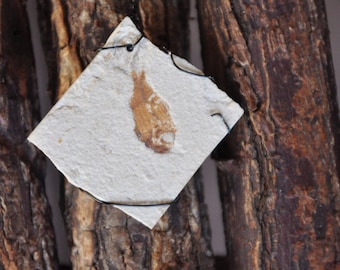 Stories of the Ancestors; 100% REAL,very rare, juvenile cryptoberyx FOSSIL-Pendant Necklace.