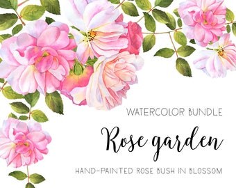 Roses watercolor clipart, Flower illustration, Watercolor bundle, Watercolour roses, Roses bush, Roses bouquet, Clipart, Rose Bunch, Decor
