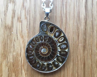 Fossil Pendant Fossil Necklace Ammonite Pendant Ammonite Necklace Fossil Jewellery Gift For Him Gift For Her Mens Necklace Womens Necklace