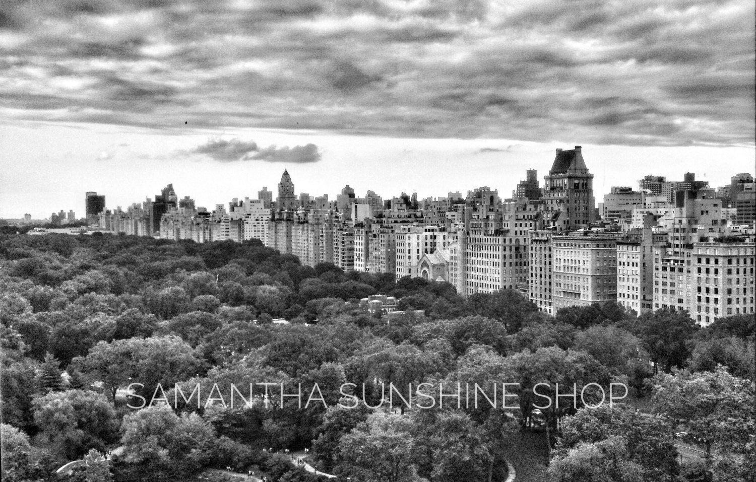 Original Photography Central Park NY Black by