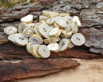 Natural White Tail Deer Antler Buttons, Lot of 10