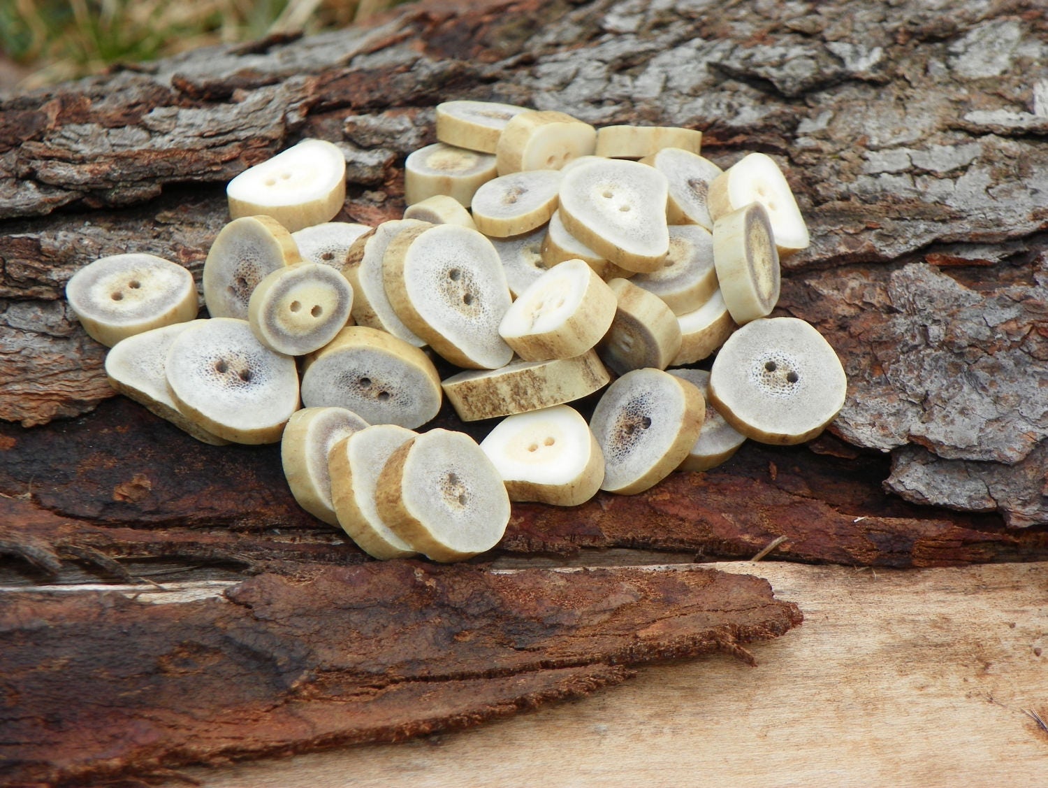 Buttons, Natural Whitetail Deer Antler Buttons, Bone Buttons, Lot of 10