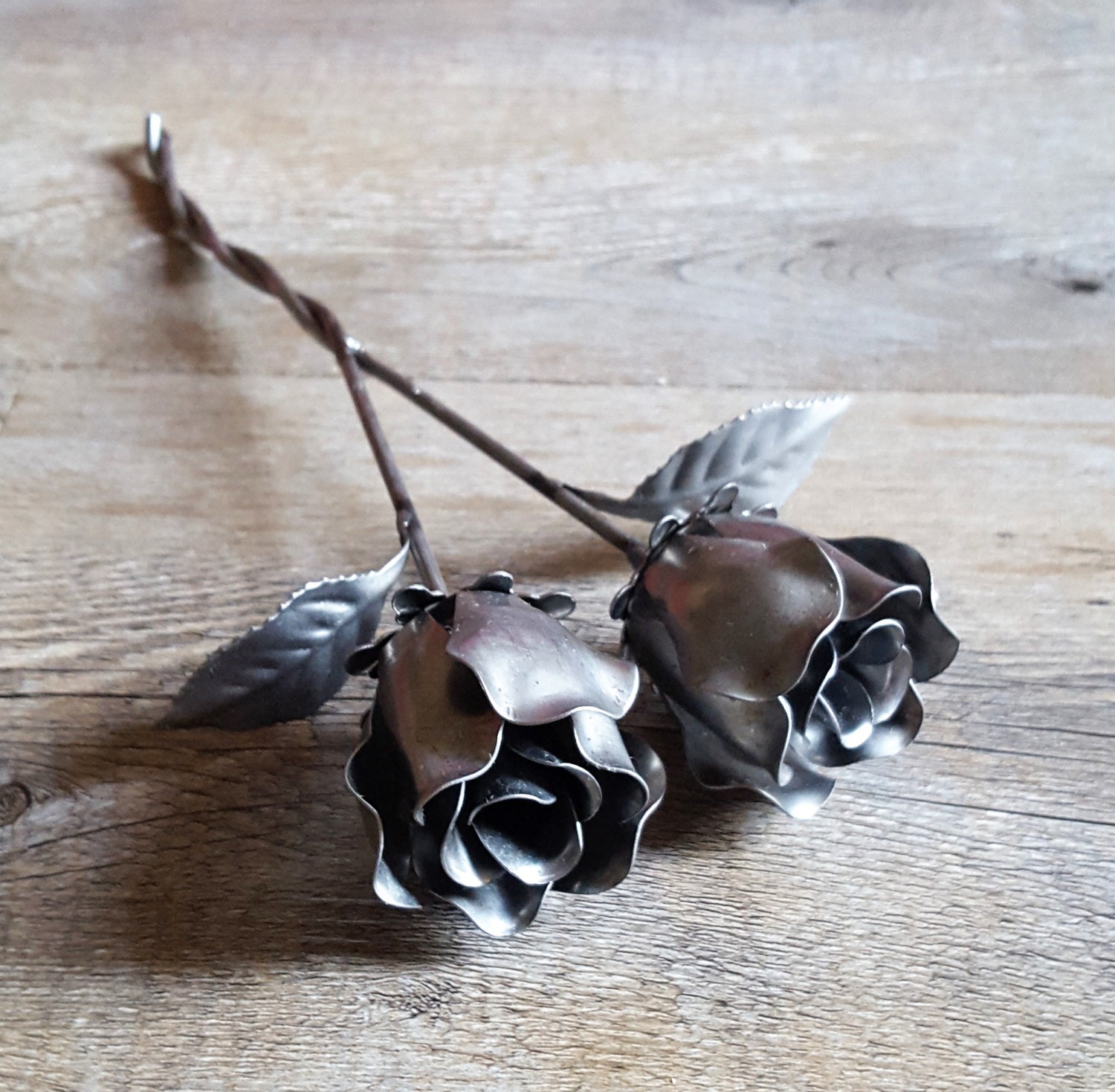 Entwined Steel Roses