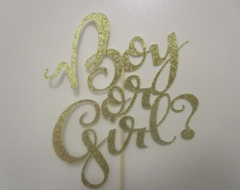 Boy or Girl Cake Topper, Gender Reveal Cake Topper