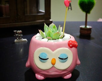 Owl Office Decor Owl Office Decor