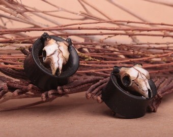 ram skull plugs - ear plugs - skull plugs - organic plugs - ear tunnels - skull tunnels - wood tunnels - wooden gauges - skull gauges - gift