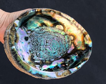 Abalone Shell Smudge Bowl Sage Dish Bohemian Decor