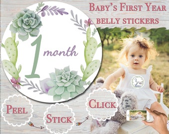 Cactus Month Stickers Baby Month Stickers Monthly Baby Stickers Monthly Milestone Milestone Month Stickers Baby Shower Gift gender neutral