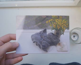 postcard set : mountain forest + morning scene