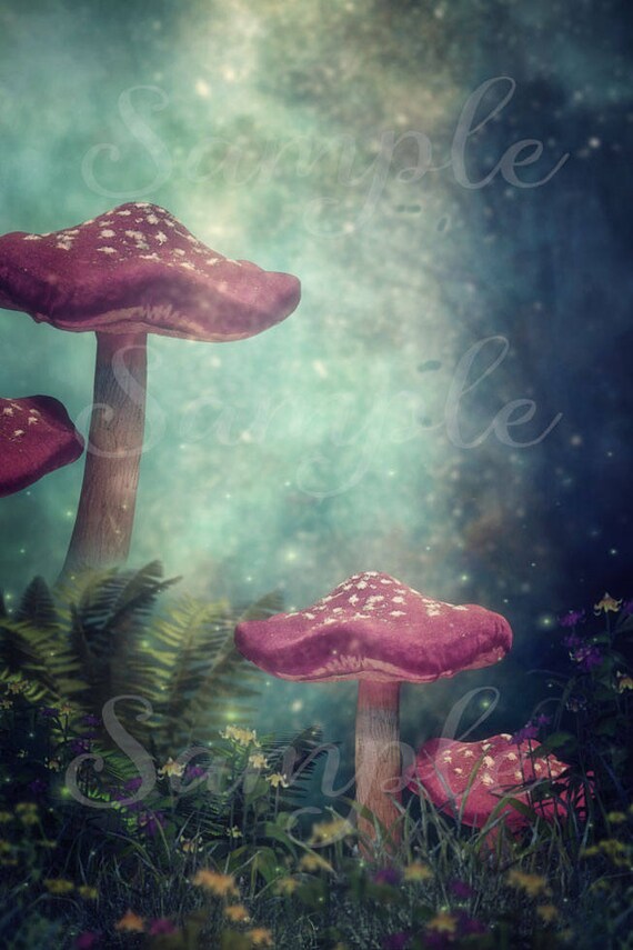 Fairy pack | Digital Background | digital backdrop |Toadstools |log