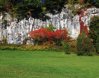 Nature Photography.. Wall Art & Home Decor by Trish Helsel Photography