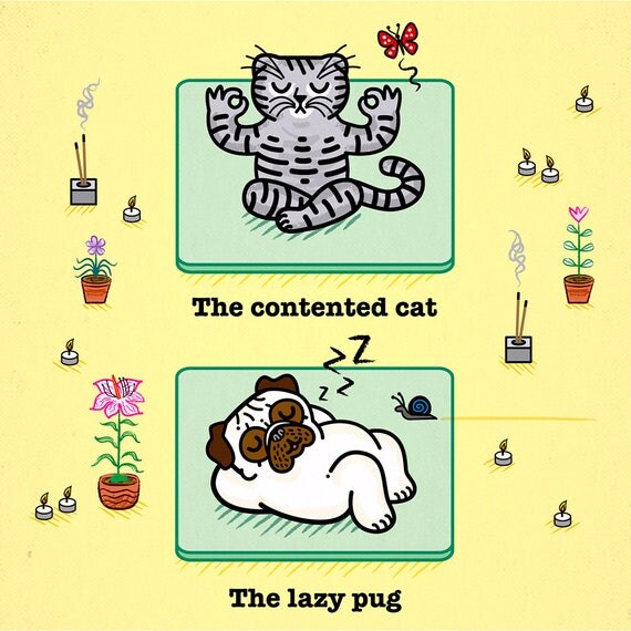 Yoga Poses - Pug and Cat - Childrens art - Nursery art - Nursery Decor - iOTA iLLUSTRATiON