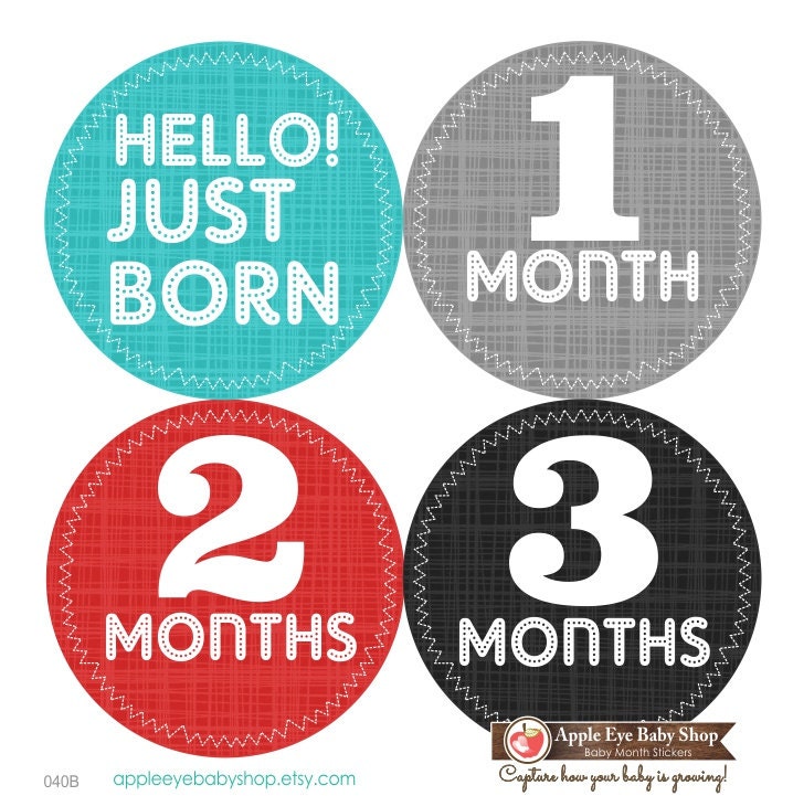 1st Year Baby Month Stickers PLUS Just Born Sticker Baby Boy