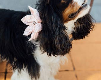 Preppy Football Orange Seersucker Girl Dog Flower Bow Tie Collar, Tennessee Vols