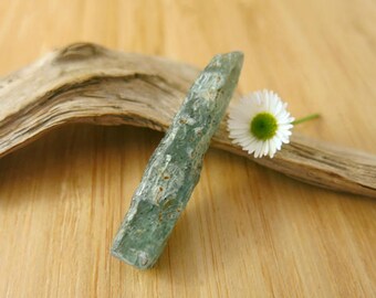 Green Kyanite Crystal