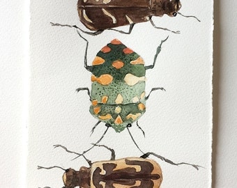 Insects painting, Three bugs in brown and green, Insects wall art, Beetles watercolor painting original, Insect specimen, Entomology