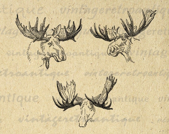 Digital Printable Moose Antlers Image Set Collage Sheet Download Illustration Graphic Artwork Antique Clip Art HQ 300dpi No.1217