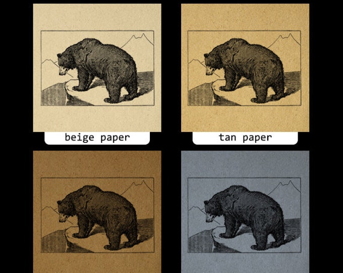 Grizzly Bear Illustration Printable Image Graphic Download Digital Vintage Clip Art Jpg Png Eps HQ 300dpi No.2633