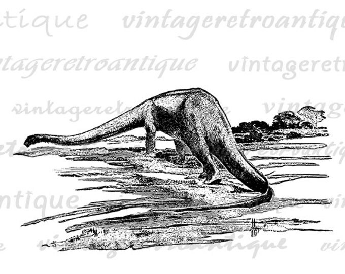 Printable Dinosaur Graphic Download Digital Illustration Image Artwork Jpg Png Eps HQ 300dpi No.3636