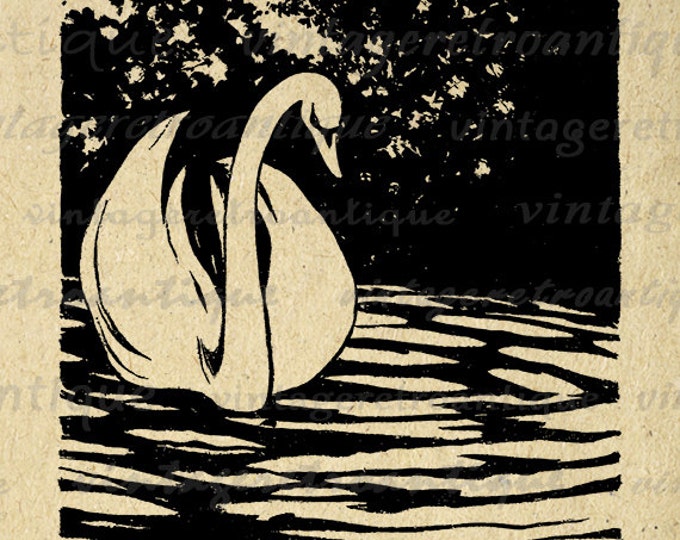 Swan Illustration Graphic Digital Image Bird Artwork Printable Download Vintage Clip Art Jpg Png Eps HQ 300dpi No.1998