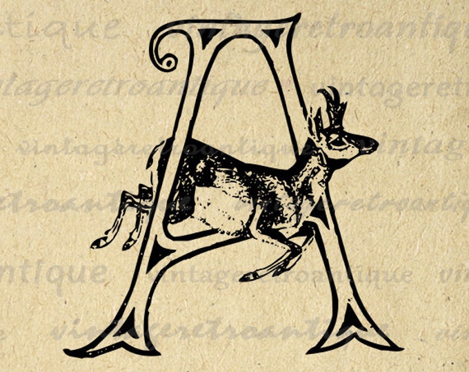 Printable Letter A with Antelope Image Download Antelope Graphic Digital Vintage Clip Art for Transfers Printing etc HQ 300dpi No.4697