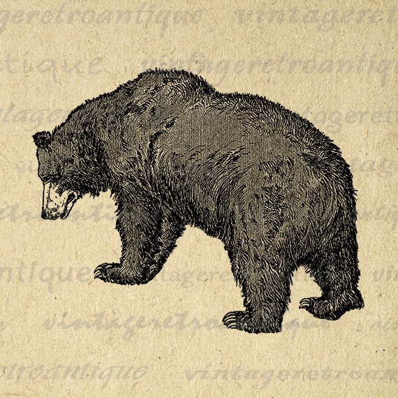 Printable Image Grizzly Bear Download by VintageRetroAntique