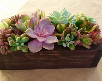 9" SUCCULENT planter box, centerpiece, Mother's Day, gift, wedding