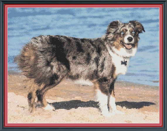 Australian Shepherd PDF Cross Stitch Pattern from SquirrelDesigns ... Australian Shepherd PDF Cross Stitch Pattern from SquirrelDesigns ...