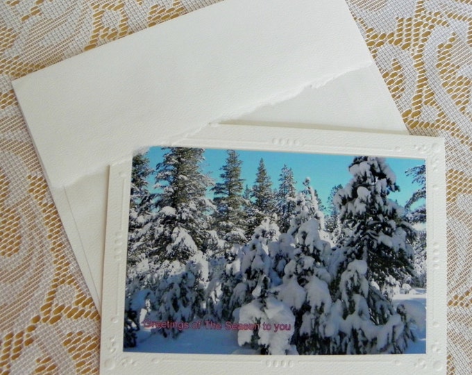 SNOW SCENE Holiday 12-piece Greeting Card Set; Free Shipping; Your Choice - 4 Styles; Original Photography; Digital Enhancements