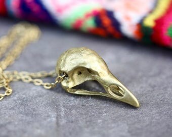 Small bird skull necklace, robin, budgie, raw brass, boho, gold, nature, voodoo, amazon, witch, goth, ethnic, palomita jewellery, bohemian,
