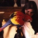 rebelwithmacaws1