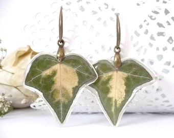 Ivy Earrings - Real Ivy Jewelry - Real Flower Jewelry - Real Flower Earrings - Leaf Earrings - Pressed Flower Earrings - Botanical Jewelry