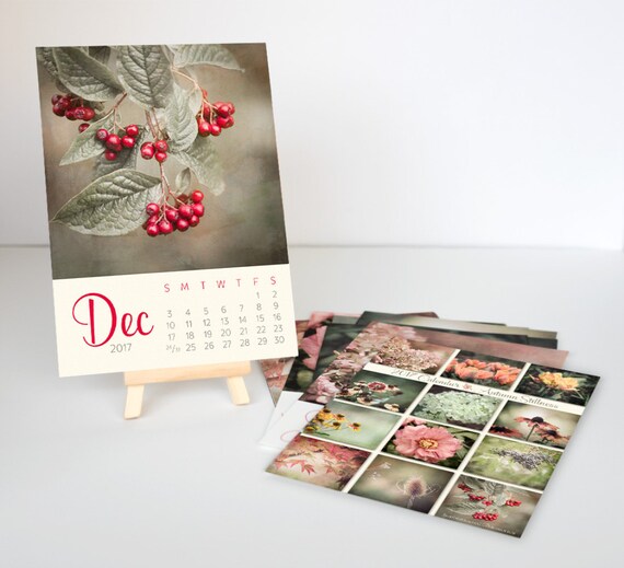 2017 Desk Calendar Gift for Her Floral Photography