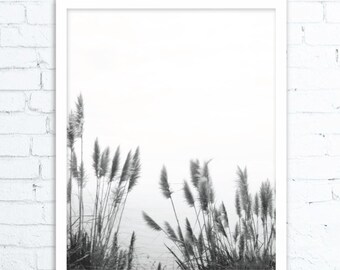 Nature Prints, Nature Photography, Nature Photos, Nature Photography Prints, Mountain Photography, Outdoor Photography, Nature Art
