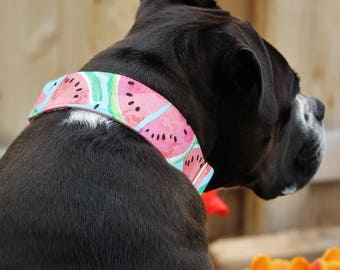 Watermelon dog collar, summer martingale collar, buckle collar, wide collar, thick dog collar, greyhound collar, XL collar