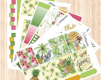 AP054 summertime weekly planner sticker kit erin condren happy planner