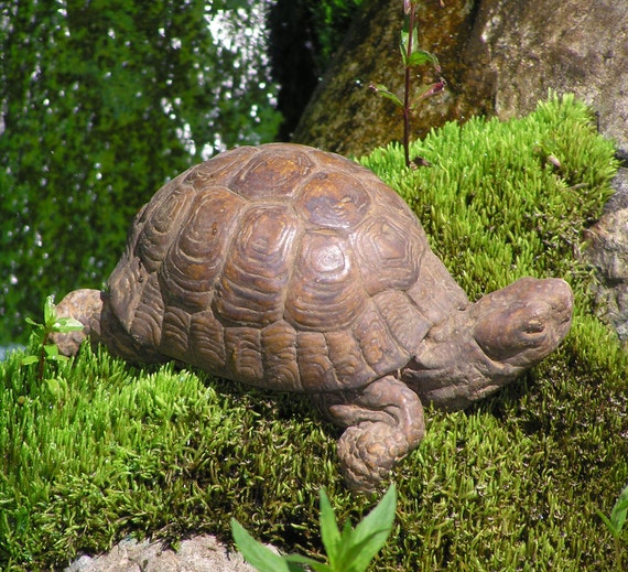 Box Turtle Cement Garden Statue GNTTL by FairyDreamGarden on Etsy
