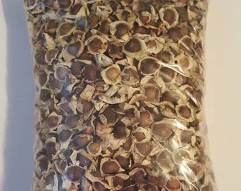 moringa seeds 1000..