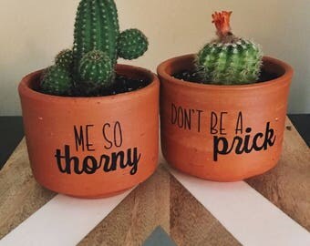 Small succulent planter//small plant pot//flower pot