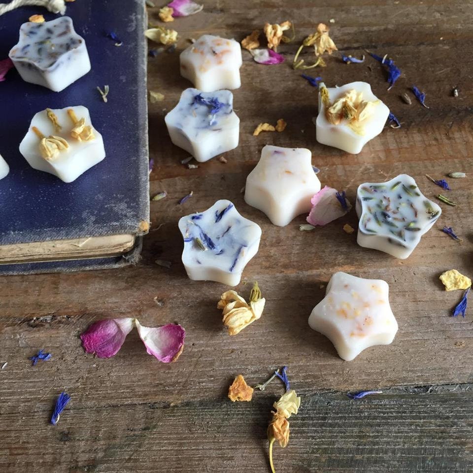 Botanical Soy Wax Oil Burner Melts