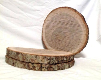 10 Natural Wood Log Slices 10” to 12” Crafts Rustic Wedding Cabin Décor Disk