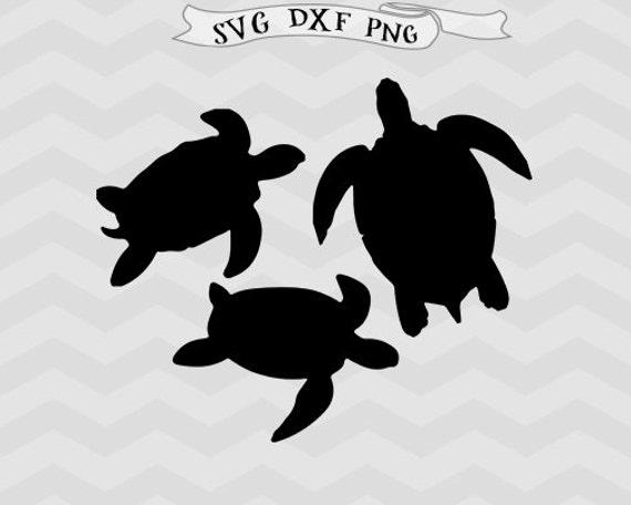 Turtle SVG DXF files Turtles svg Turtle clipart png Animals