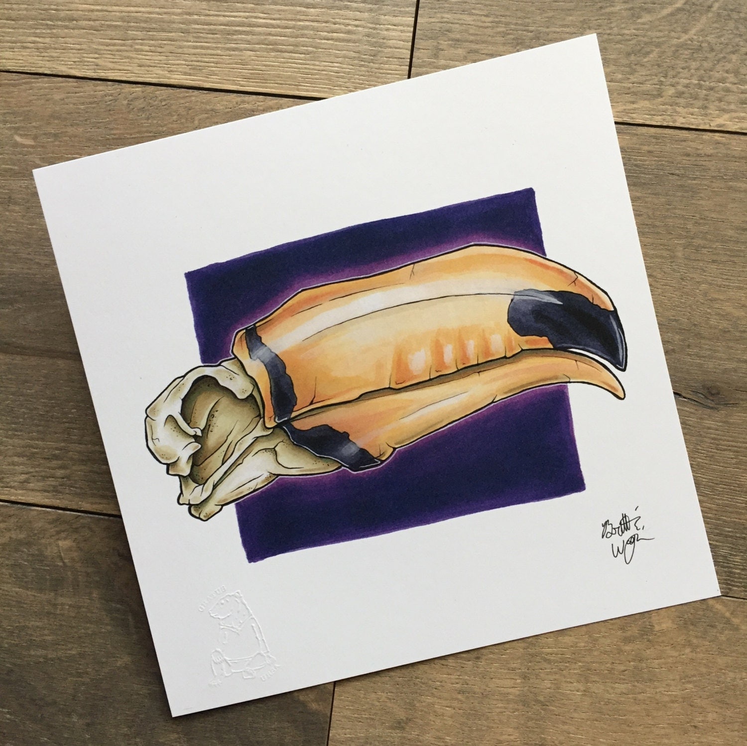 Toucan Skull 9x9 Print