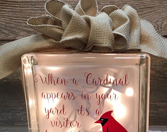 cardinal glass block, glass brick, lighted glass block, visitor from heaven