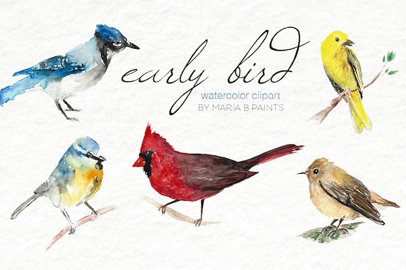 Download Watercolor Clip Art Birds Song Birds Personal Use