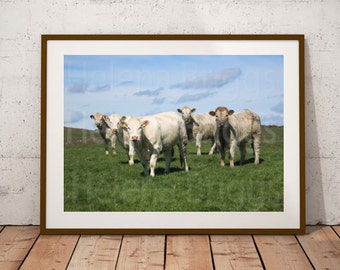 Farm Wall Art farm animal wall art | etsy Farm Wall Art farm animal wall art | etsy