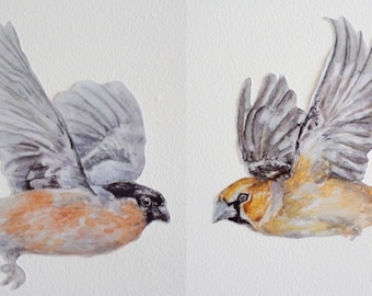 Bird wall decor, bird wall stickers, PAIR, song bird decals, woodland wall decals, bullfinch, hawfinch, bird decor, finch wall decals