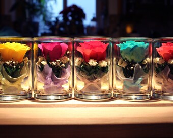 Eternity Roses, Roses, REAL roses, Valentines Gifts, Gifts for her, Gifts for him, Anniversary, Wedding, Couple Gifts, Immortal Rose, Father